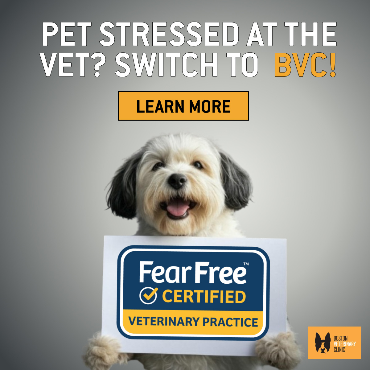 BVC - Pet Complete Care - February 2025 - 1200x1200-3